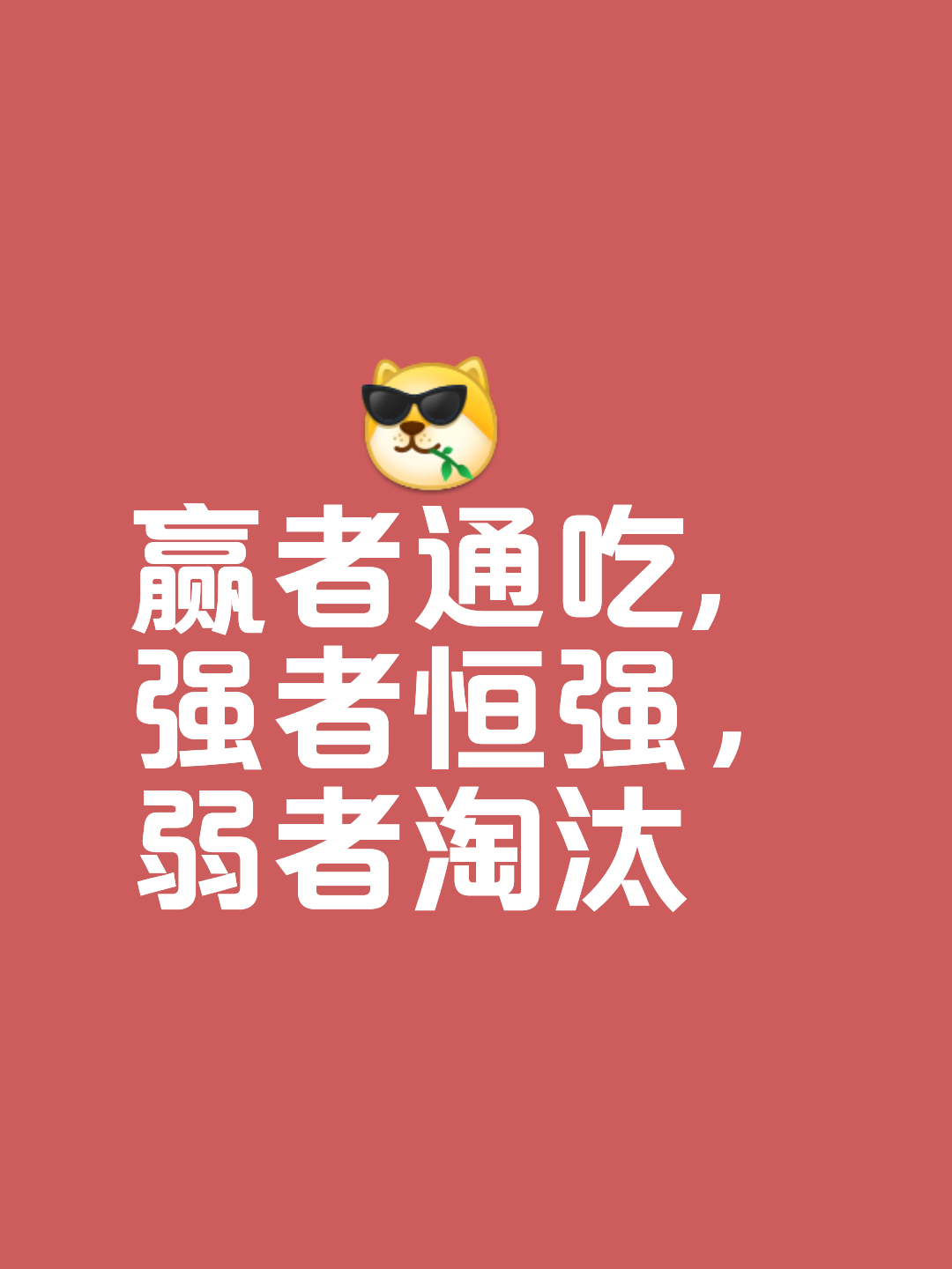 精妙策略与精彩战术，决定了比赛的胜利者