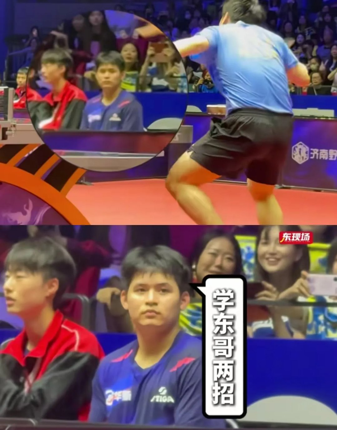 开云体育官网-比利时乒乓球队碾压日本乒乓球队，许昕制霸全场的简单介绍