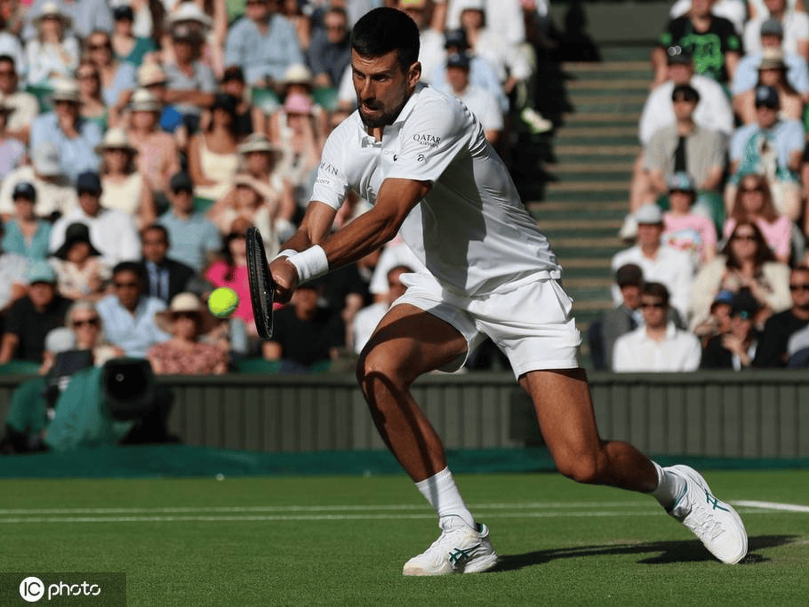 温网逆转拉沃尔杯,德约科维奇刷新纪录 温网逆转拉沃尔杯,德约科维奇刷新纪录
