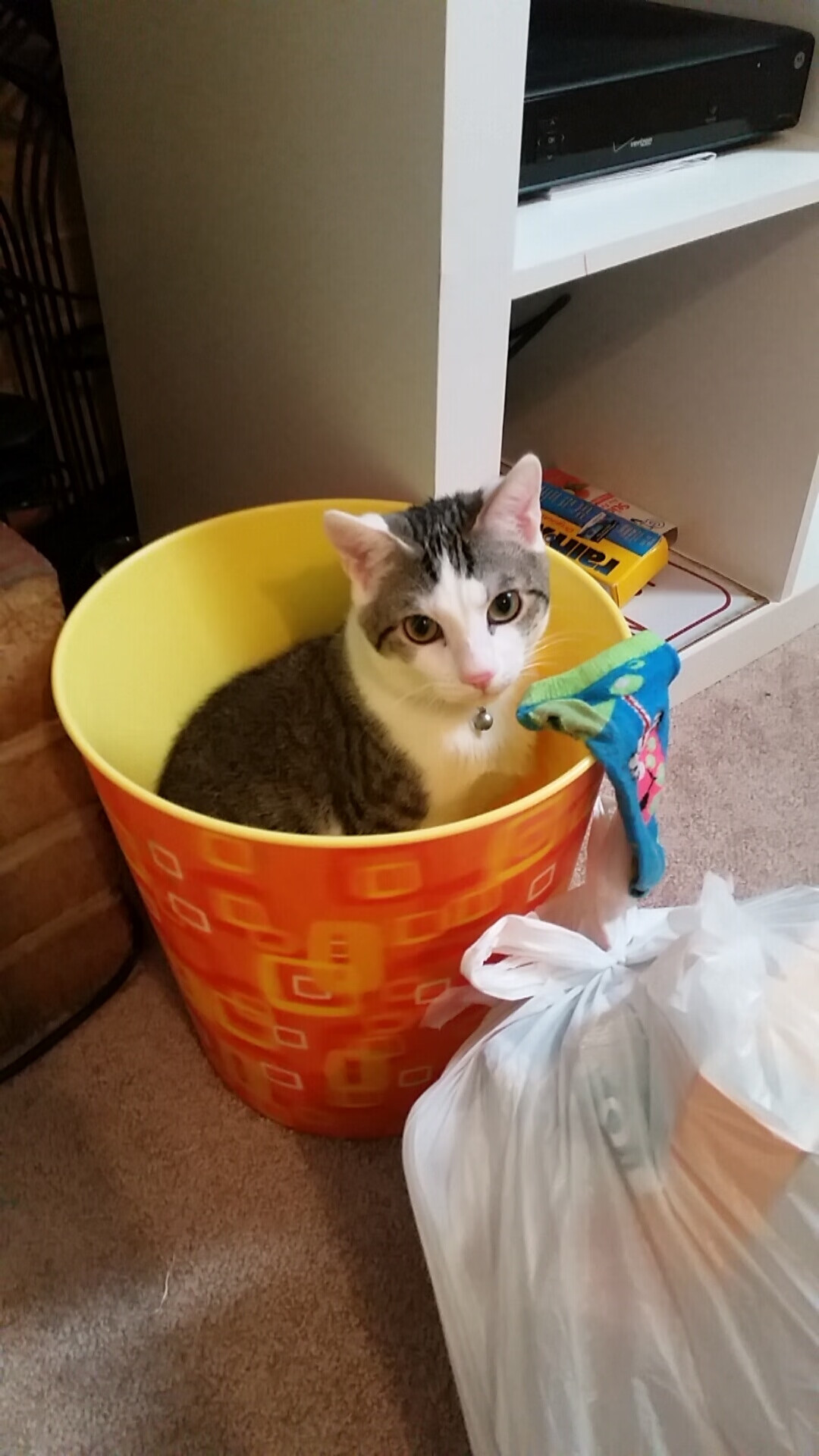 跨时空博弈,当戈贝尔的笼罩在雄鹿与热火的火焰之上