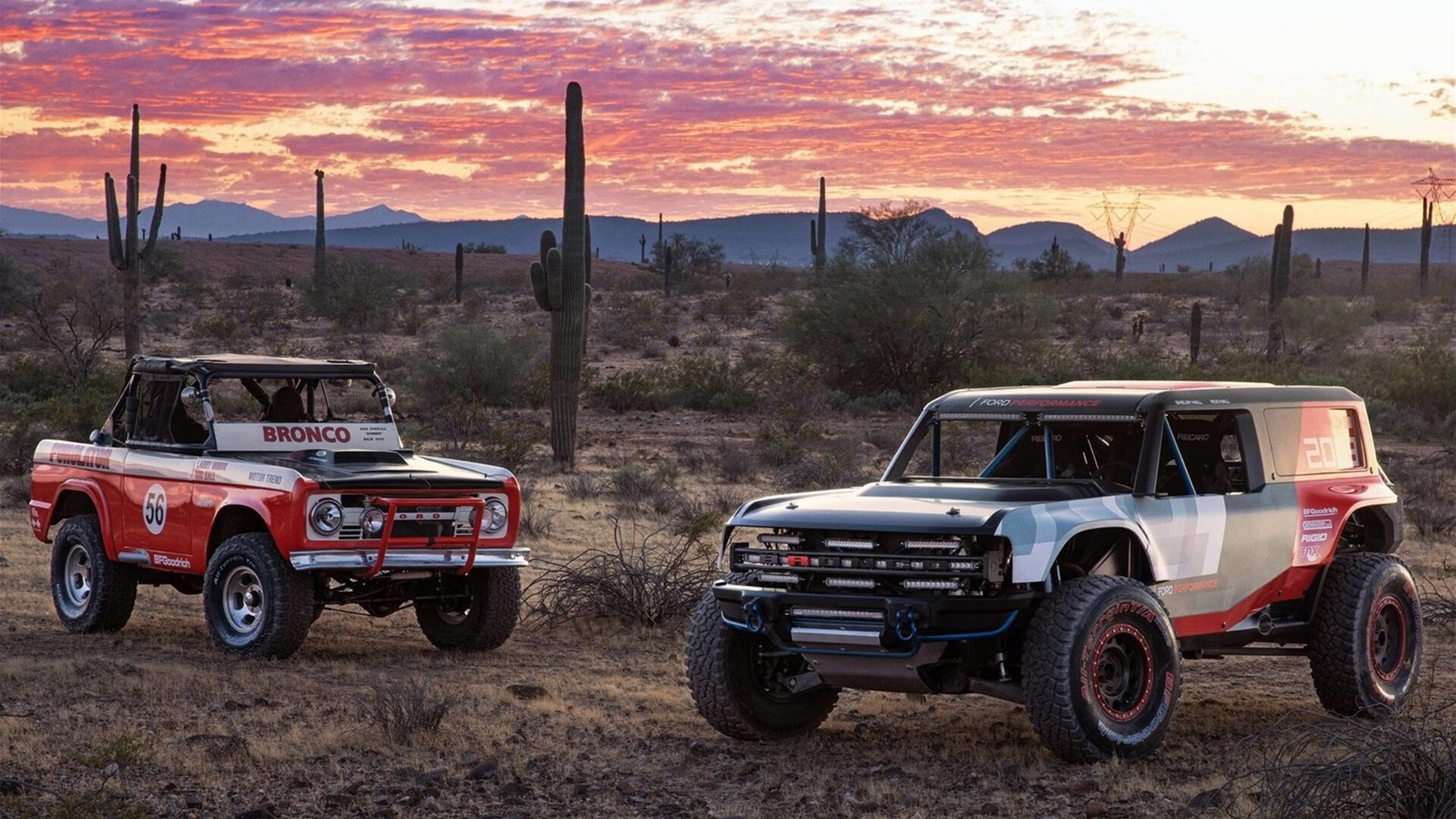 恩佐全面爆发，塞内加尔锋霸终结那不勒斯神话