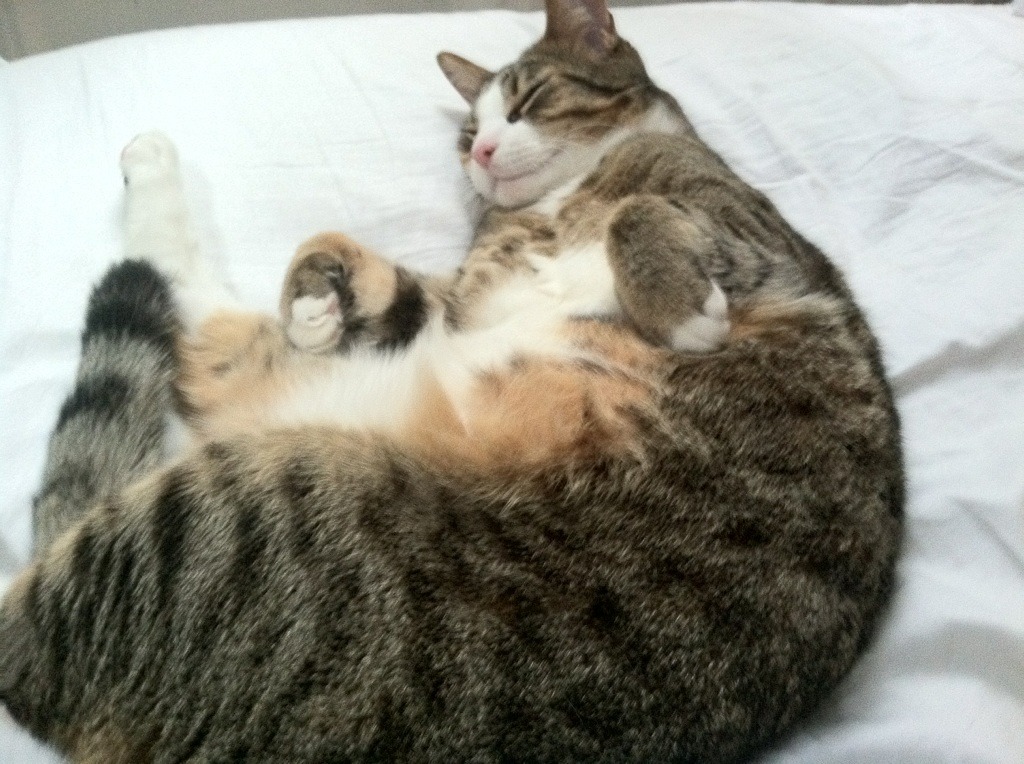 永不熄灭的引擎，当世界杯之夜遇见詹姆斯的时间管理学