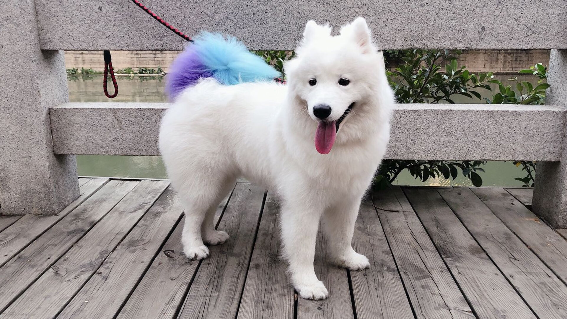 霍勒迪21罚撕开魔术防线,快船末节强行断电终结悬念