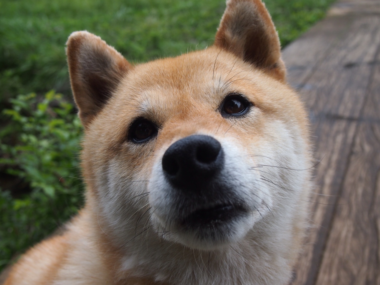 开云体育app-孔德闪击定乾坤，英格兰三分钟击碎哥伦比亚悬念