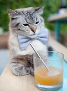 绝境不是剧本,NBA与欧冠同时上演的逆转狂想曲