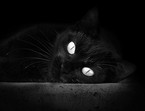 开云体育中国-美加墨世界杯焦点战，活塞式铁血防守制霸深圳队