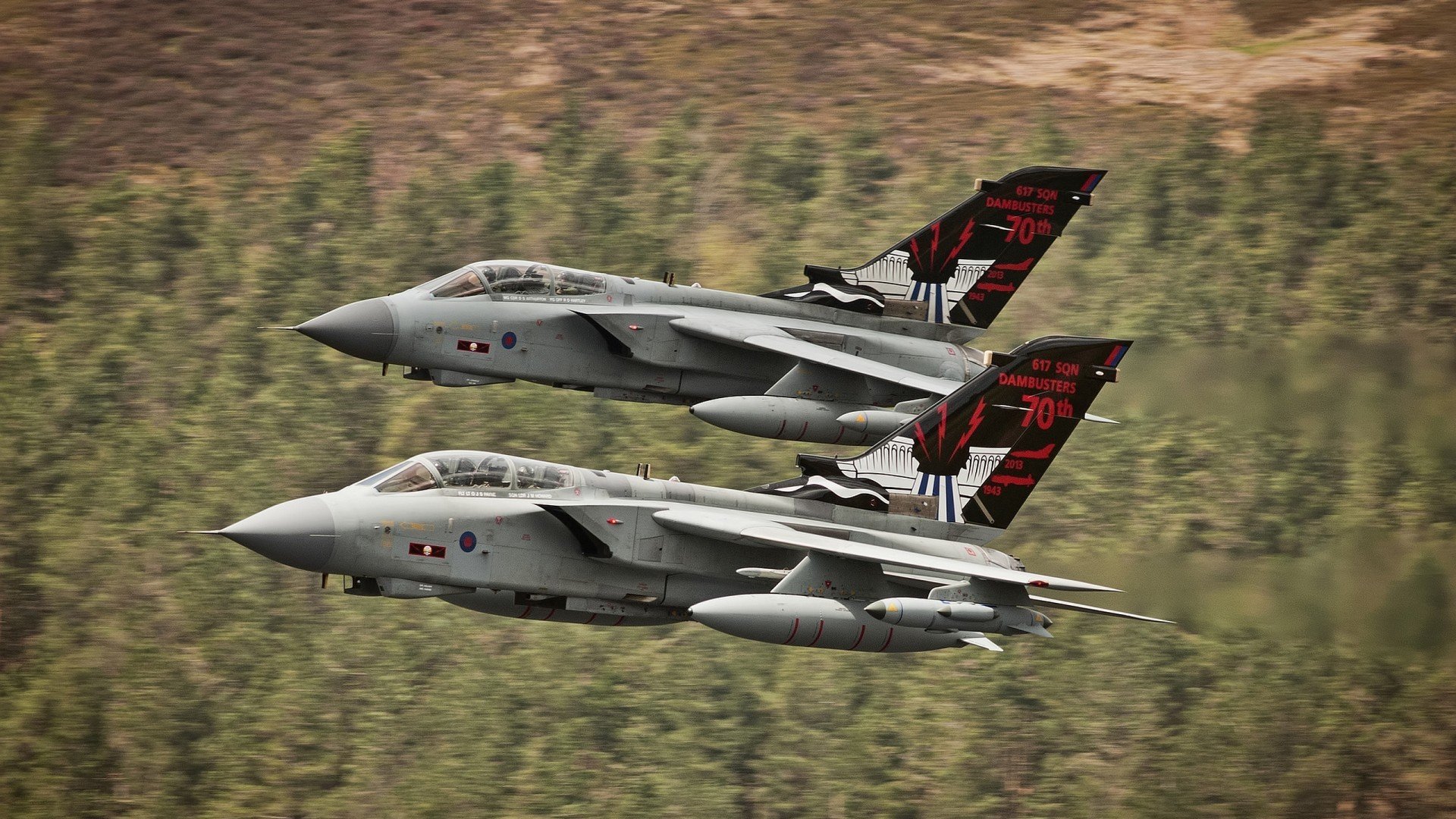 双线鏖战，绿茵场与硬木地板的冠军意志交响