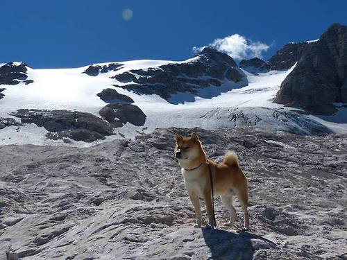 开云体育官网-哈登主宰全场！骑士力克76人，年度焦点战再现巨星本色